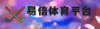 使用指南与常见问题